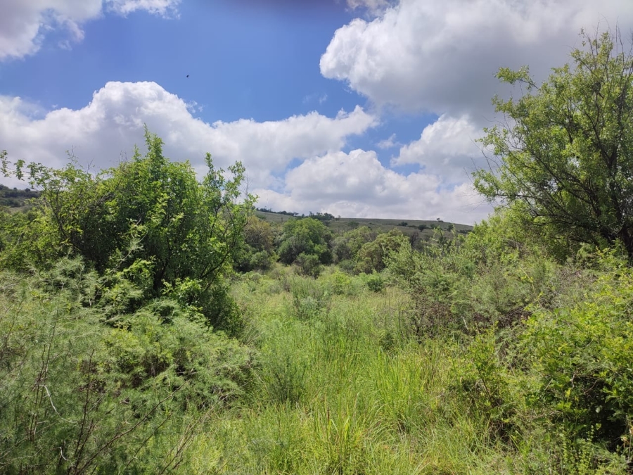 0 Bedroom Property for Sale in Swartruggens North West